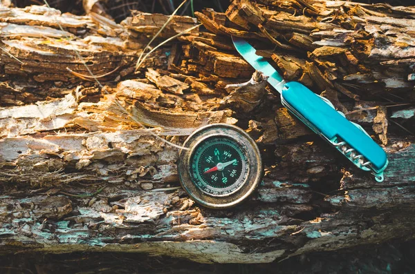 Compass and survival knife on an old rotten stump.A tool for Hiking and survival lit by the sun.