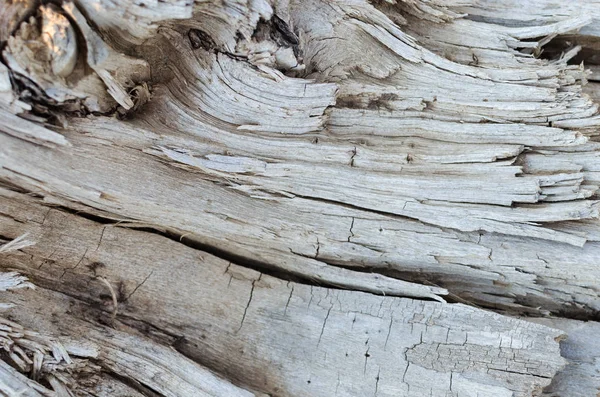 Hintergrund Aus Altem Getrocknetem Holz Holzstruktur — Stockfoto