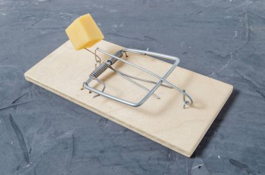 Beton zemin ahşap fare kapanı. Yakın çekim.