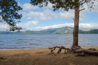 Issız kumsalı, çam dağlar karşı sahilde. Doğa ve rezerv.