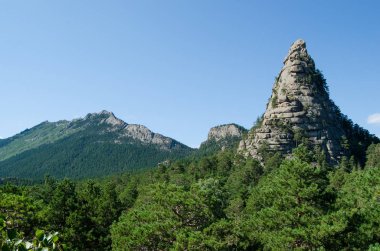 Dağ manzarası, çam ormanları, vahşi doğa ile kaplı dağları.