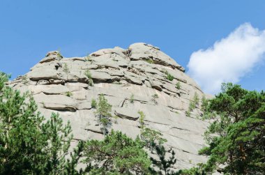 Dağ manzarası, çam ormanları, vahşi doğa ile kaplı dağları.