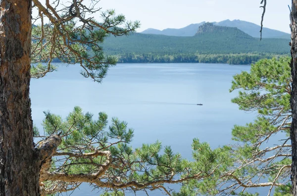 Schöne Aussicht Auf Den See Aus Dem Kiefernwald Sommer — Stockfoto