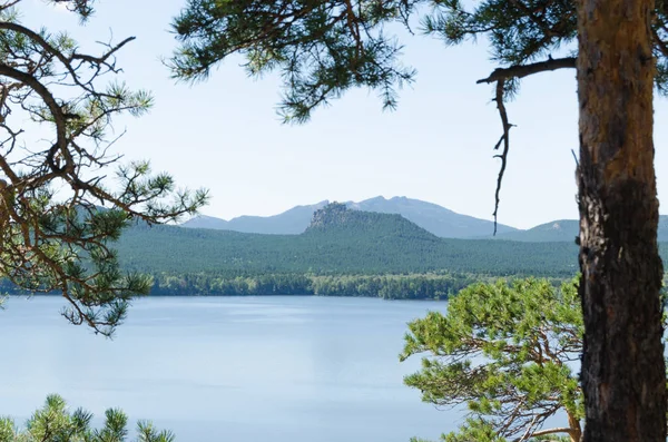 Piękny Widok Jezioro Sosnowego Lasu Lecie — Zdjęcie stockowe