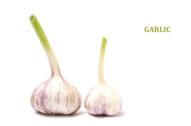 Beyaz arka plan yakın çekim sarımsak iki kafa.