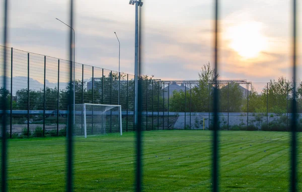 Campo Fútbol Con Césped Verde Atardecer Deportes Juego Equipo Sobre —  Fotos de Stock