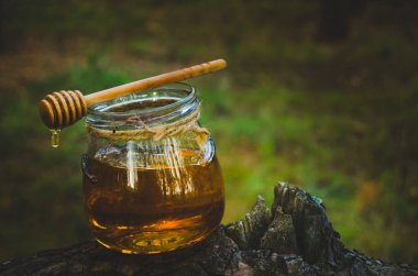 Taze bal ve bal kaşığı çam ağacı ormanda üzerinde kavanoz. Sağlıklı gıda.