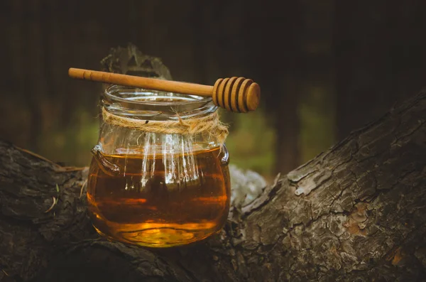 Jar Fresh Honey Honey Spoon Pine Tree Woods Healthy Food — Stock Photo, Image