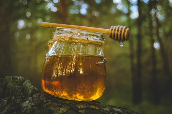 Jar Fresh Honey Honey Spoon Pine Tree Woods Healthy Food — Stock Photo, Image