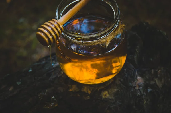 Glas Mit Frischem Honig Und Honiglöffel Auf Kiefer Wald Gesunde — Stockfoto