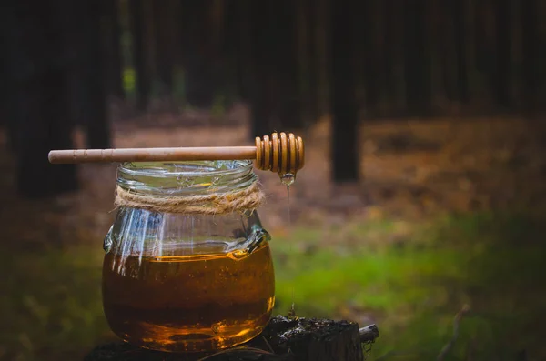 Glas Mit Frischem Honig Und Honiglöffel Auf Kiefer Wald Gesunde — Stockfoto