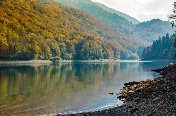 Herbstlandschaft Auf Einem Bergsee Die Vergilbten Blätter Der Buchen Spiegeln — Stockfoto