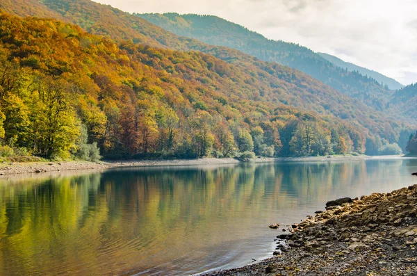 Herbstlandschaft Auf Einem Bergsee Die Vergilbten Blätter Der Buchen Spiegeln — Stockfoto
