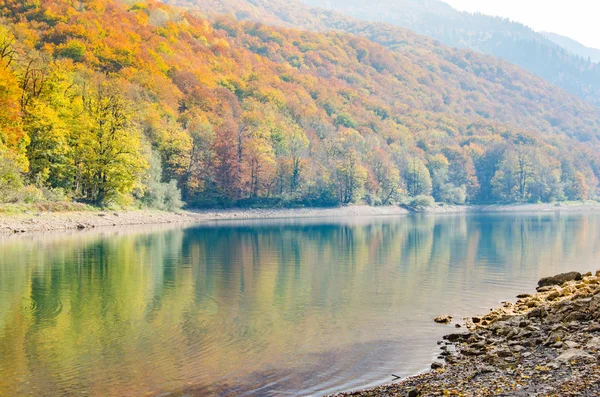Herbstlandschaft Auf Einem Bergsee Die Vergilbten Blätter Der Buchen Spiegeln — Stockfoto