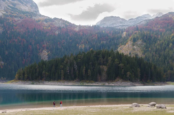 See Und Unberührter Kiefernwald Vor Dem Hintergrund Hoher Berge — Stockfoto