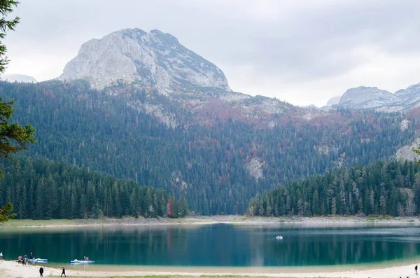 Λίμνη Και Παρθένα Πευκοδάση Στο Φόντο Των Υψηλών Βουνών — Φωτογραφία Αρχείου