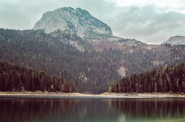 See Und Unberührter Kiefernwald Vor Dem Hintergrund Hoher Berge — Stockfoto