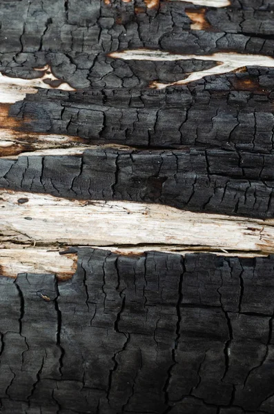 Фон Черное Обугленное Дерево Уголь После Пожара Абстрактный Трещинах Древесного — стоковое фото
