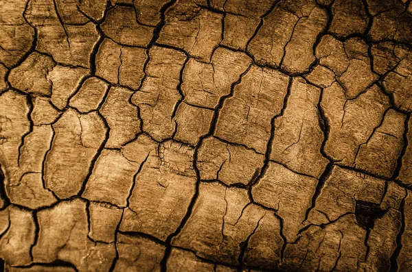 Background Cracked Dried Earth Sand Concept Drought Famine Global Warming — Stock Photo, Image
