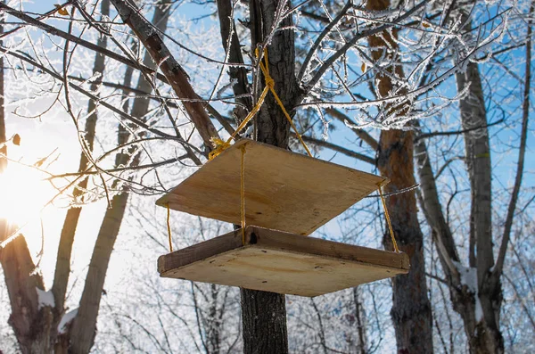 Alimentador Pássaros Inverno Floresta Árvore — Fotografia de Stock