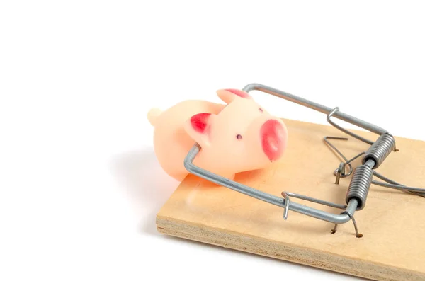 Pequeño, rosa, cerdo de goma quedó atrapado en una ratonera . —  Fotos de Stock
