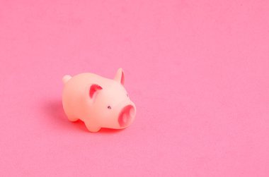 Pembe arka planda küçük, pembe, kauçuk oyuncak domuz.