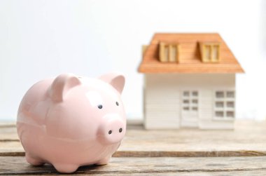 Beyaz Saray arka planda pembe domuzcuk Bankası.