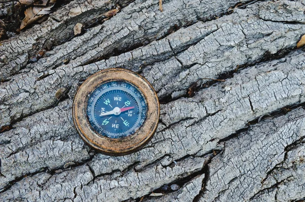 Old compass lies on the bark of a tree, Hiking and traveling orientation on the compass.