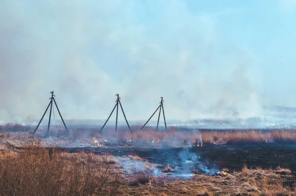 Z suchą trawą, stroiki i oparzenia linii zasilają silnym ogniem. — Zdjęcie stockowe