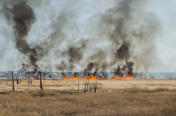 Wiese aus Gras und Schilf brennt, starke Flammen nähern sich Dorf im Hintergrund. — Stockfoto