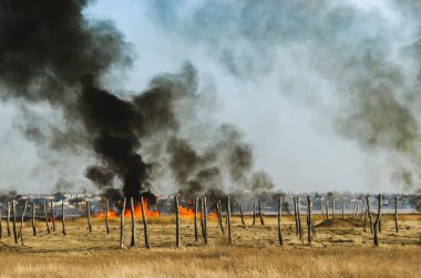 Güçlü ateş ve duman, çimenler ve sazlıklar alevler içinde. Siyah duman.