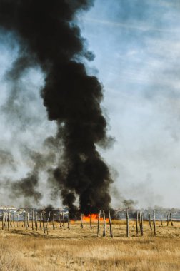 Güçlü ateş ve duman, çimenler ve sazlıklar alevler içinde. Siyah duman.