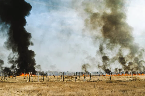 Kraftig ild og røyk, gress og siv i flammer. Svart røyk. . – stockfoto