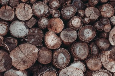 Yığılmış günlüklerin, günlüklerin arka planı. Isıtma ekolojik yöntemi.