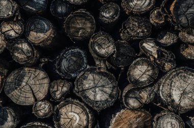 Yığılmış günlüklerin, günlüklerin arka planı. Isıtma ekolojik yöntemi.