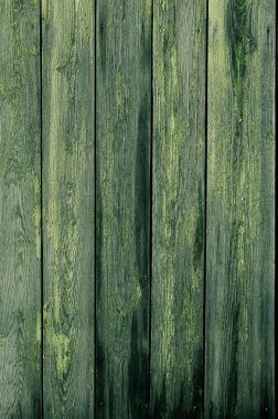 Arka plan yeşil boya soyma ile eski, vintage kurulları yapılır.