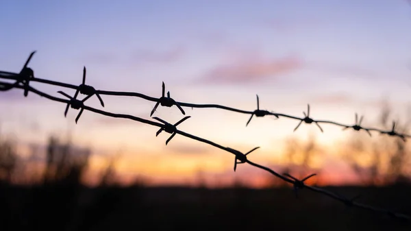 Silhueta preta de arame farpado contra o pôr-do-sol brilhante . — Fotografia de Stock