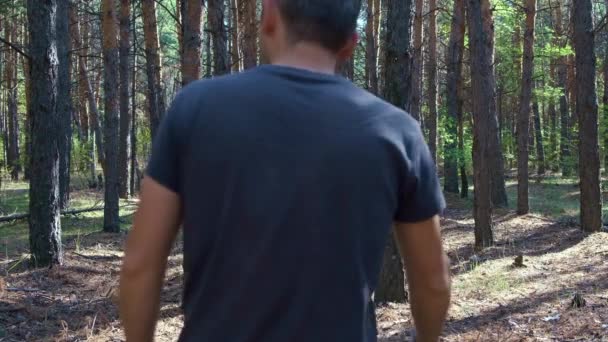 Adulto Caminha Por Uma Floresta Pinheiros Longo Das Árvores Vídeo — Vídeo de Stock