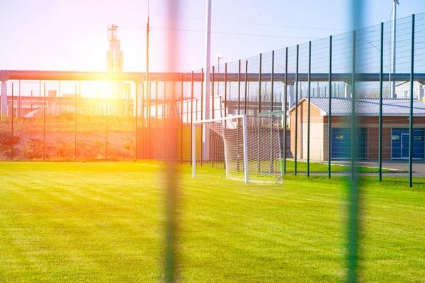 Futballpálya élénk zöld gyeppel, a háttérben egy — Stock Fotó