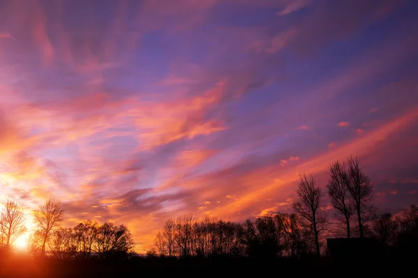 Silhuetas de árvores de outono no fundo de nuvens de pôr do sol noite brilhantemente coloridas . — Fotografia de Stock