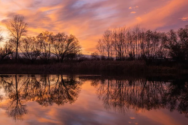 Lac avec le reflet des silhouettes d'arbres sur le fond d'un coucher de soleil lumineux en automne . — Photo