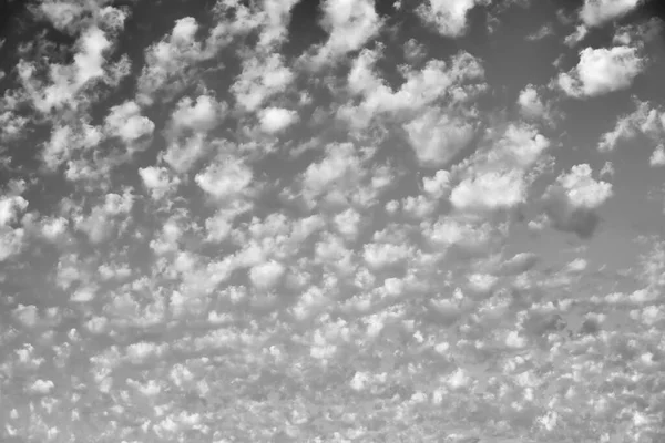 Облака Фоне Неба Оттенках Серого — стоковое фото