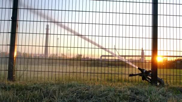 Automatisches Bewässerungssystem Wässert Den Rasen Des Fußballplatzes Bei Sonnenuntergang Abend — Stockvideo