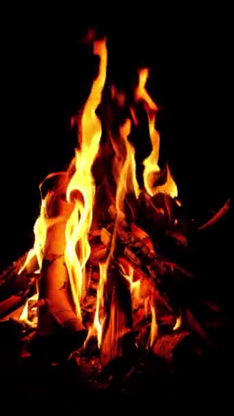 Сжигание Дров Огне Пожар Ночью Лагере — стоковое видео