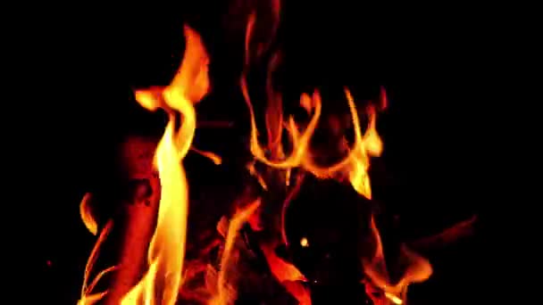 Płonące Drewno Ogniu Pożar Nocy Obozie Płomienie Się Zbliżają Gorące — Wideo stockowe