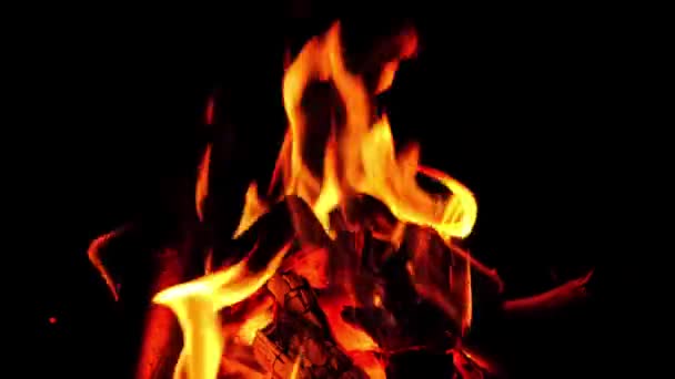 在火中焚烧木柴 在营地中在夜间焚烧篝火 燃烧的木柴烧成的炽热的煤块 — 图库视频影像