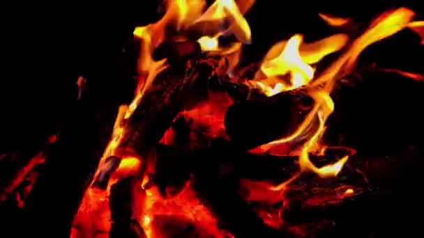 Brûler Bois Dans Feu Feu Nuit Dans Camp Flammes Fermer — Video