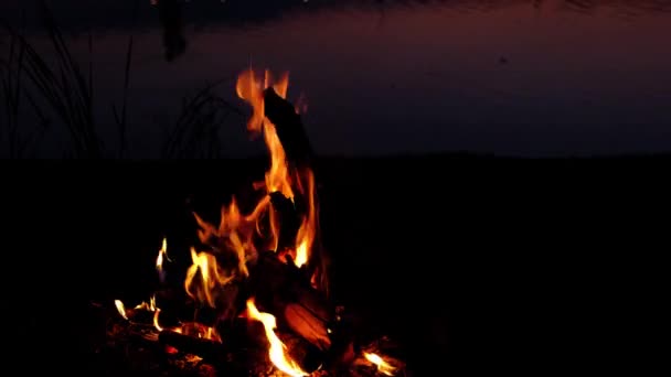 Костер Разжигаемый Ночью Огнями Ночного Города Отражённого Озере — стоковое видео