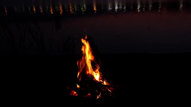 夜晚篝火熊熊燃烧 湖中映出夜城的灯光 — 图库视频影像
