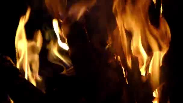 Feu Fermer Brûler Des Bûches Dans Cheminée Une Flamme Chaude — Video